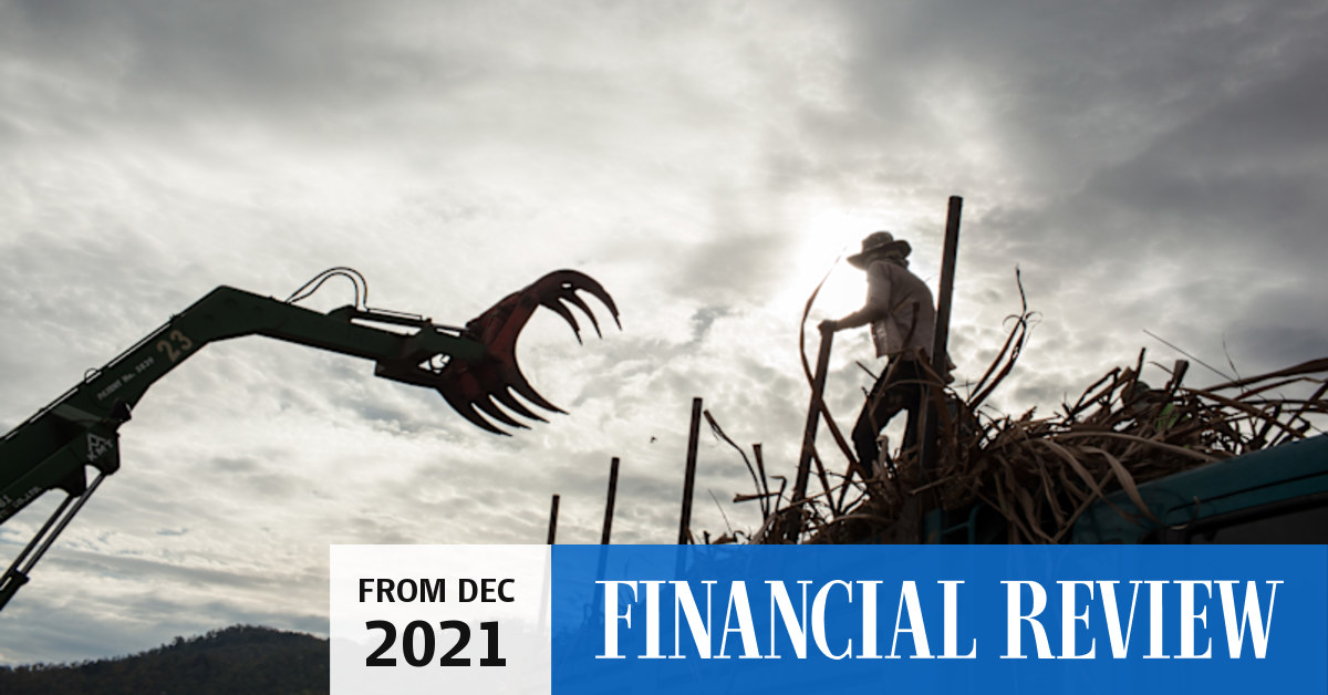 Australia wins WTO case against India’s sugar subsidies